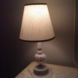 Pair of matching small dresser lamps Hand painted Roses.