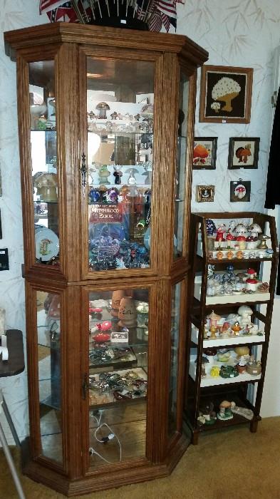 Beautiful curio cabinet.  Mushroom collection, literally hundreds.