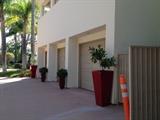 Outdoor vases and plants
