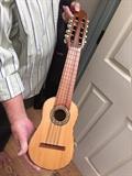Charango- a south American instrument Armadillo on backside