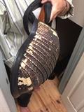 Charango- a south American instrument Armadillo on backside