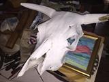 Cowskull