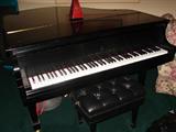 Steinway Ebony