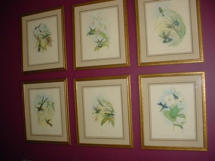 Set of 6 signed Gould bird prints..there are others scattered around the house.