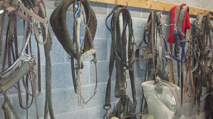 Tack and many saddles available.