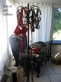 Many pet collars and some pet toys