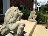 Pair of Stone Lions
