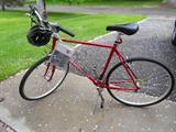 Like new Schwinn Range