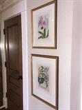 Vintage framed botanicals