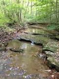 Creek running through woods