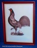 Early American woodcut of a rooster