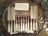 mother of pearl handles