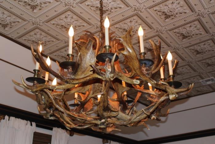 Antler Chandelier made from shed antlers