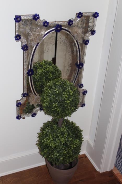 Decorative Mirror & Potted Plant