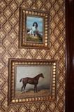 Framed Animal Potraits
