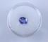 Lot of 1 unmounted oval-cut natural tanzanite: 1.29 ct