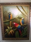 Several original oil paintings with beautiful gold frames; Birds, Flowers, etc.