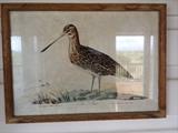 Snipe Print $ 10.00
