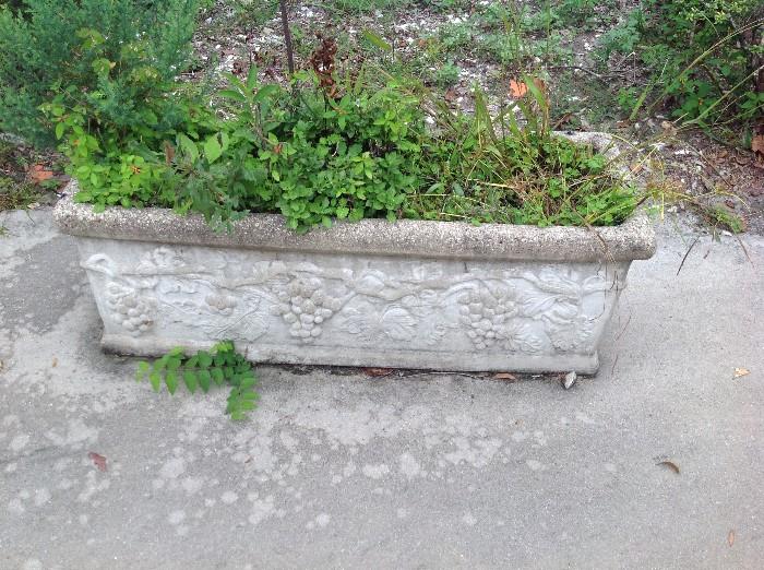 Concrete Planter $ 50.00
