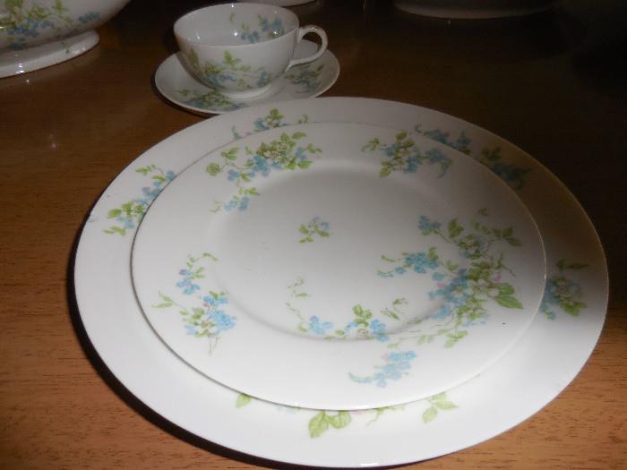 Limoges France Dinner Plate,Salad.Cup/Saucer with Service