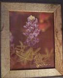 Signed photo by Don K. Langum