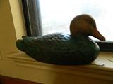 Duck Decoy