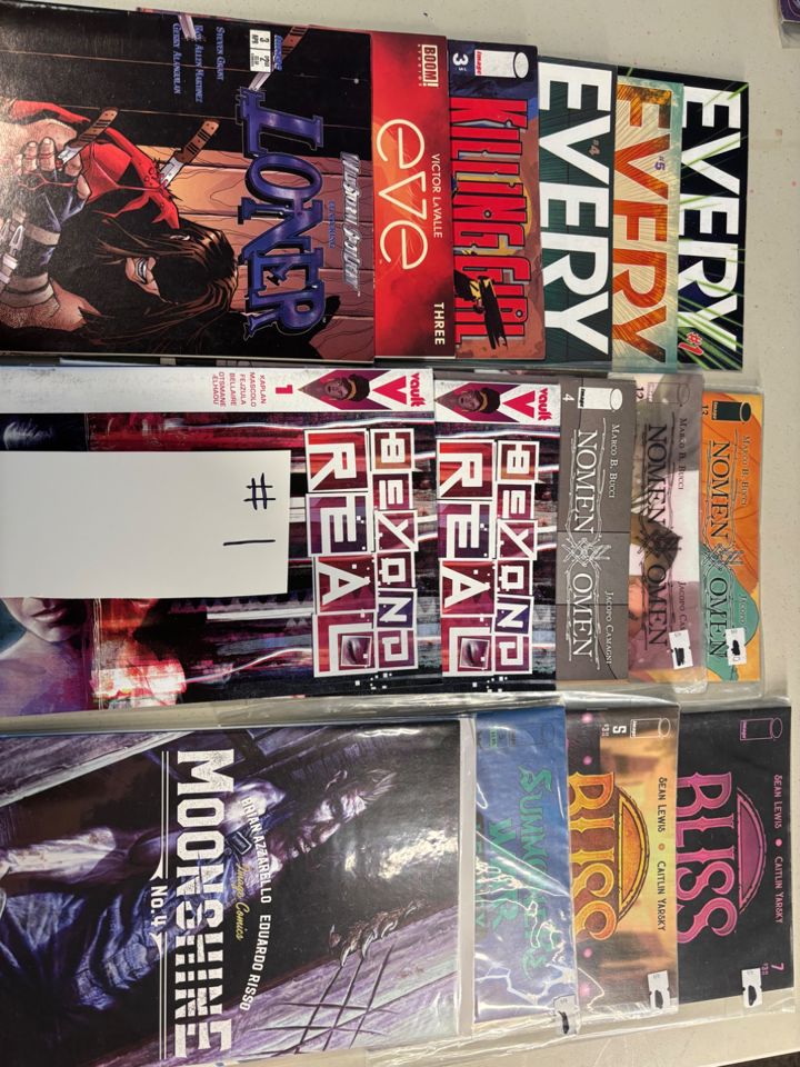 Fedke Estate Sales COMIC sale 1