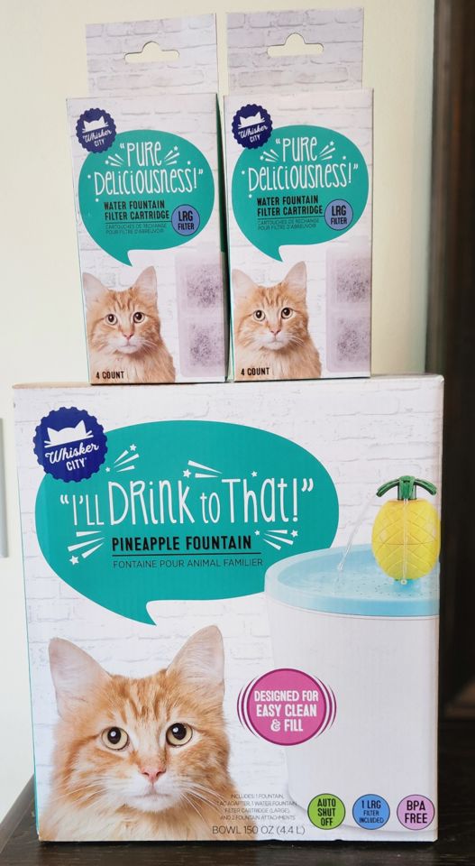 Whisker City Fountain Filter Whisker City Pineapple Cat Water