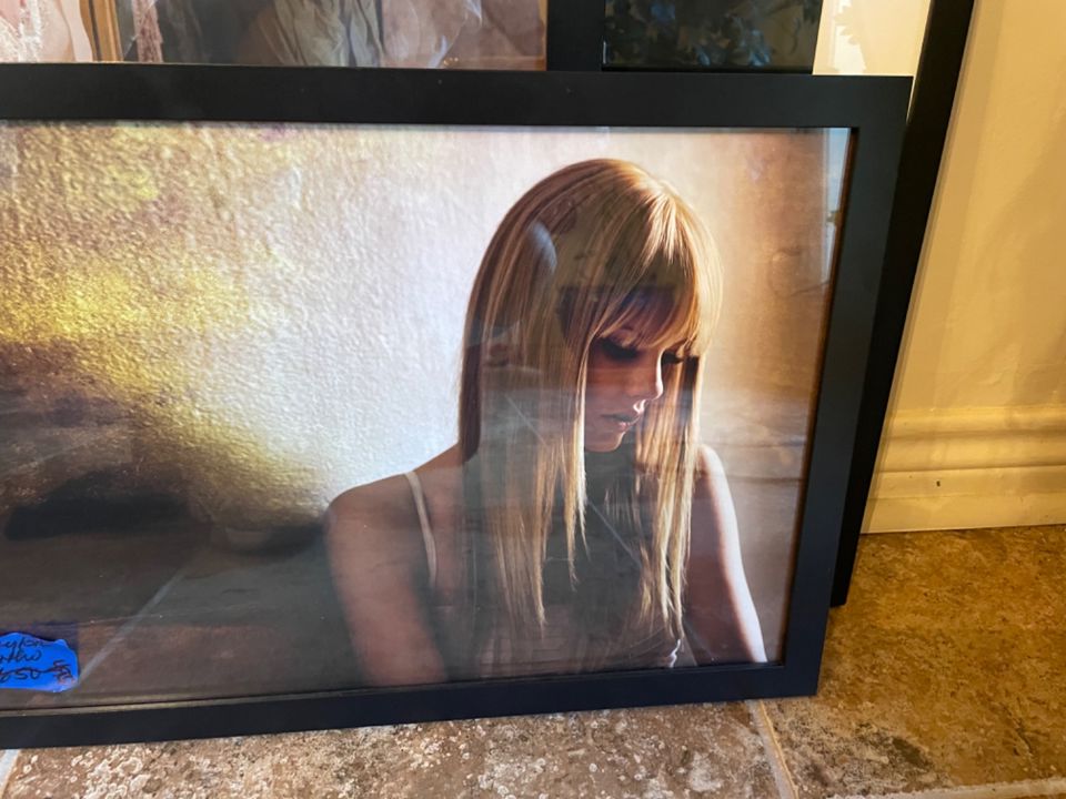 TAYLOR SWIFT and OTHER COLLECTORS ART