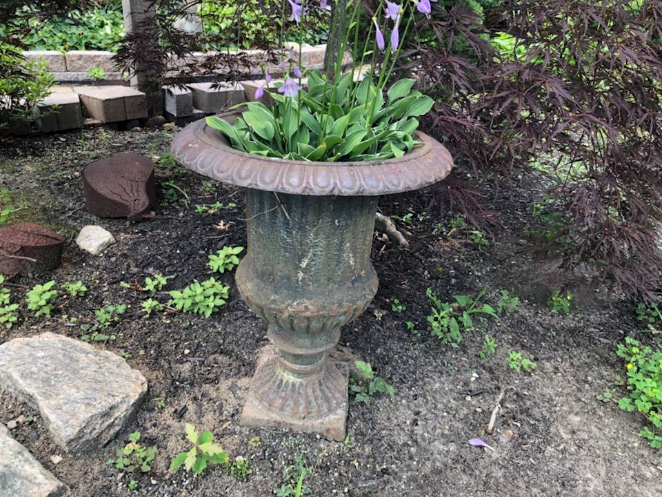 Falmouth Online Auction!