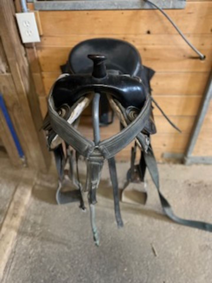 Grand Equestrian Ranch, Farm & Home Online Sale!