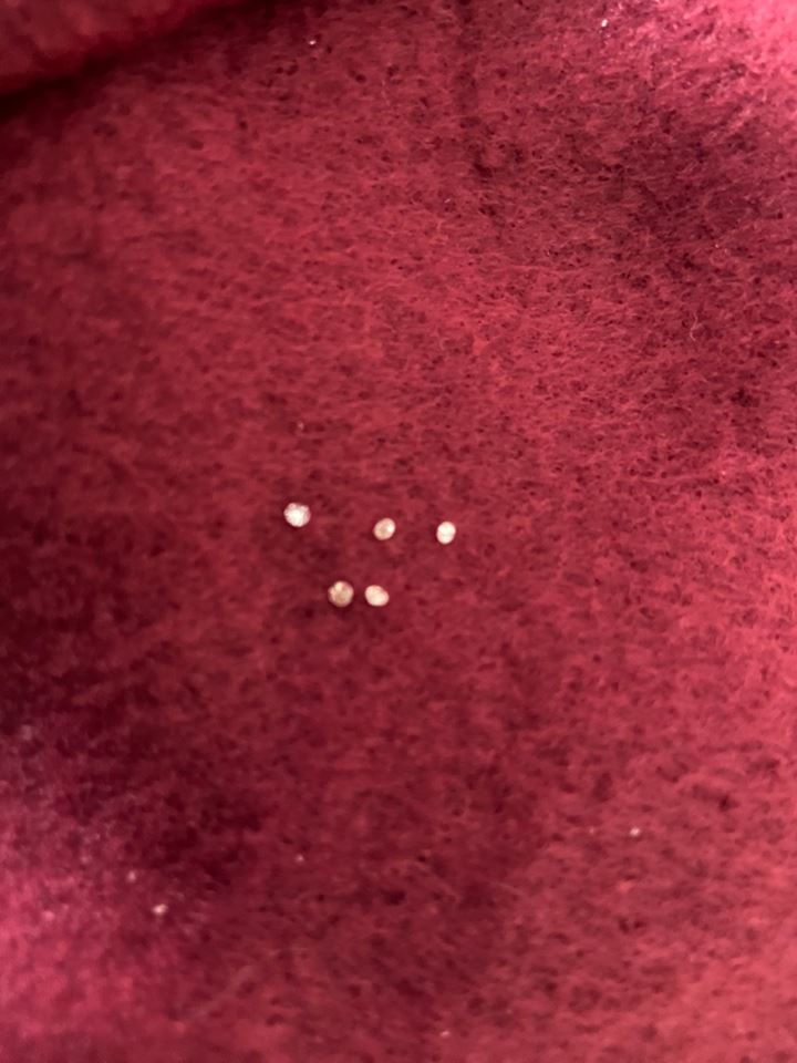 Penfield on-Line -Consignment Sale