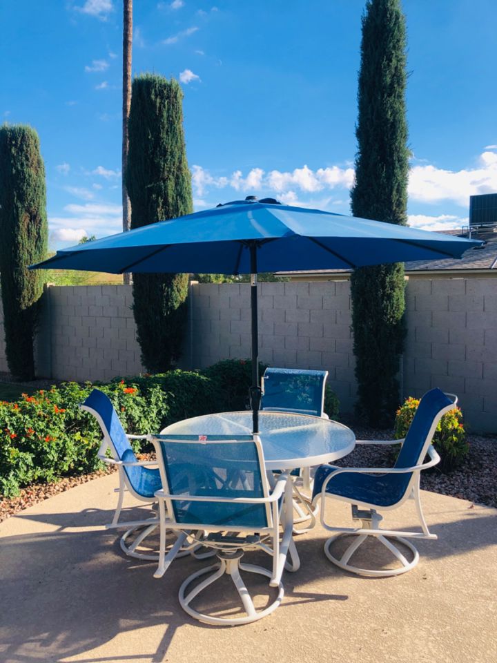 Scottsdale Estate Auction