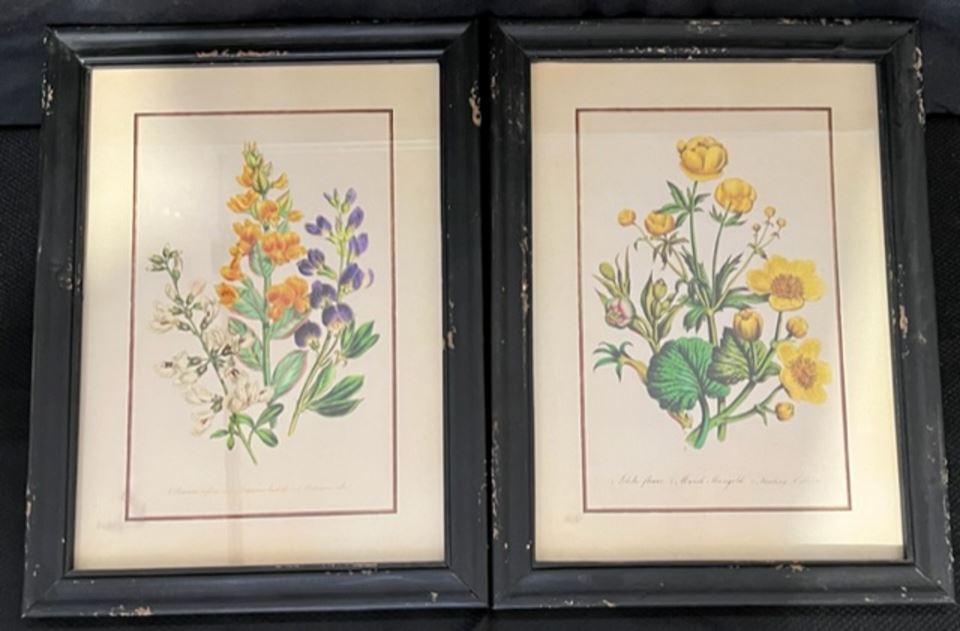 Online Only Misc Items Sale