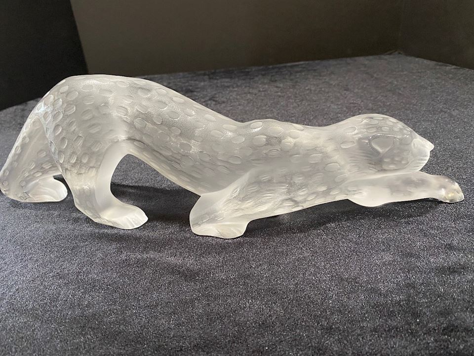 Immaculate Collectibles