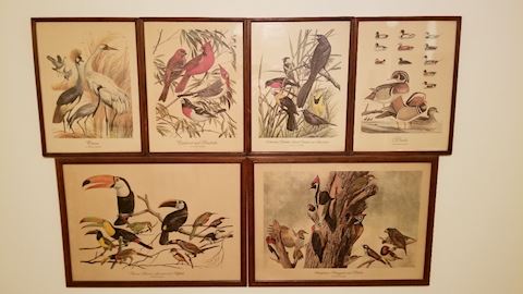 Vintage Arthur Singer Bird Prints