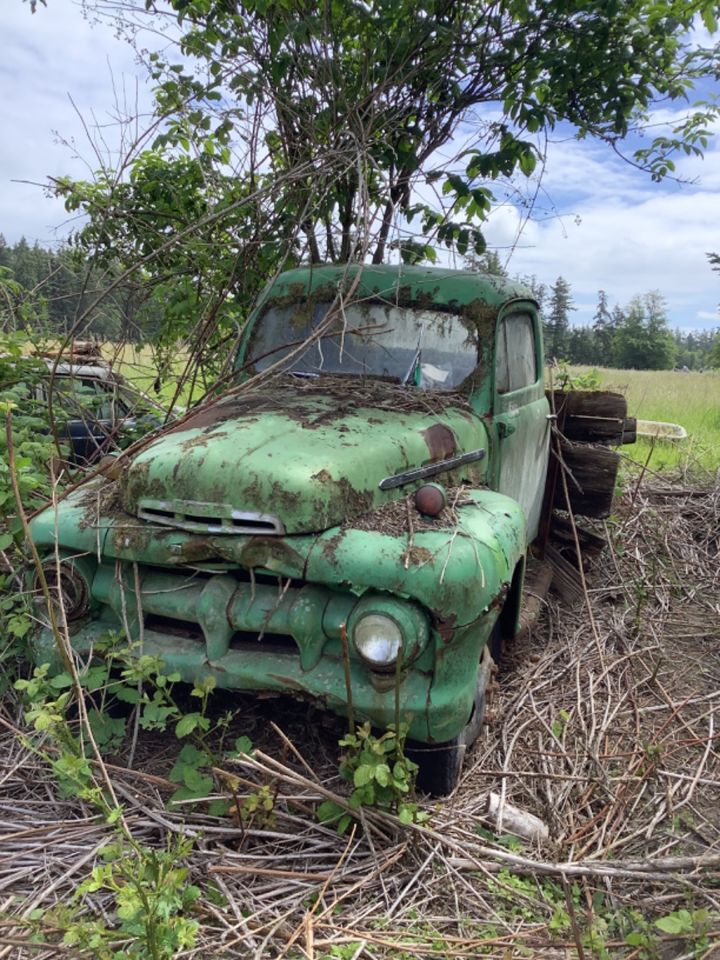 1952 Ford F5 bidding ends 6/26 $100.00 | EstateSales.NET