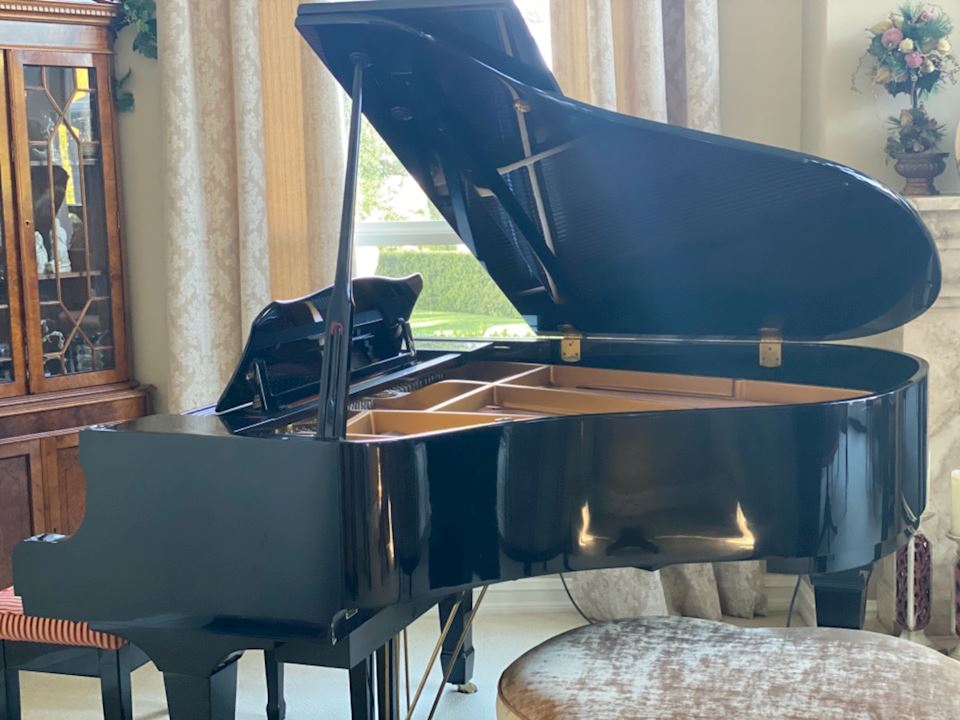 Amazing Tarzana Sale