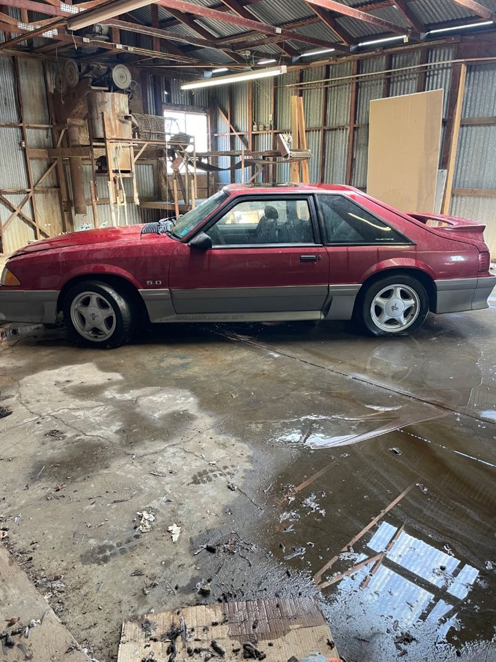 William Estate Sale-AUCTION