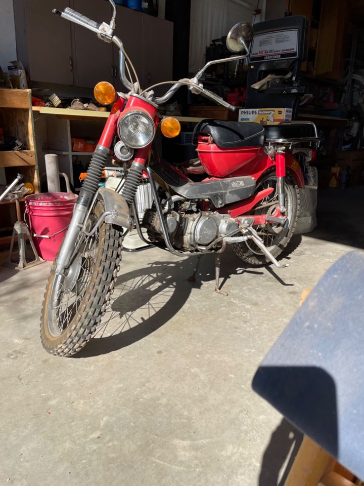 Palermo Auction Pre-View Weekend- Friday 3/3 & Saturday 3/4