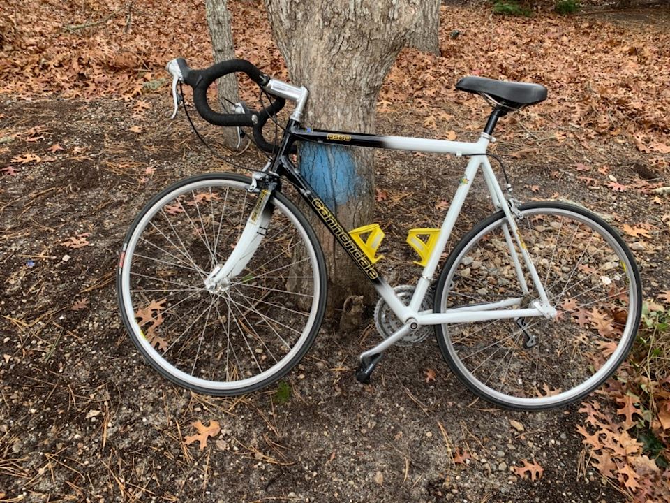 Waquoit/Falmouth Online Auction