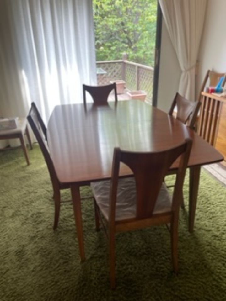Beautiful Mid Century Modern Furniture!