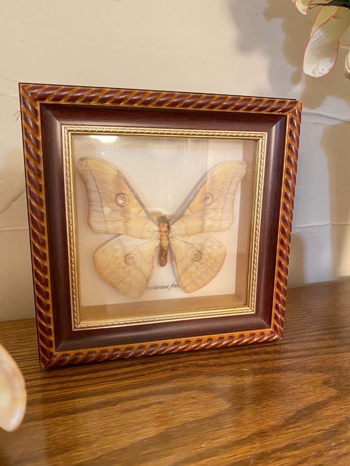 1/2 PRICE-Elegant Hoarder House Patios, Garage, Livingroom Part 1 South County by Six Pence