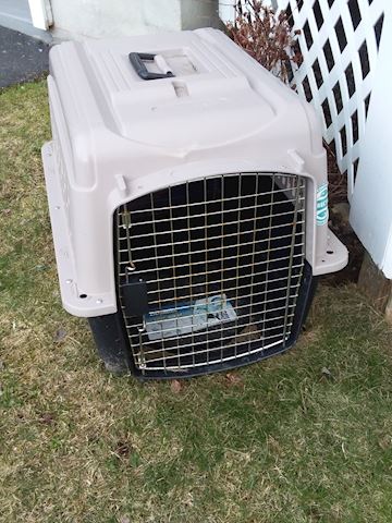 Dosckocil Pet Taxi for Dogs 25-30 Lbs