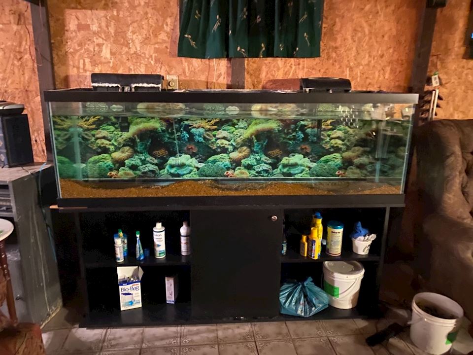 Huge St. Peters Online Estate (part 3)