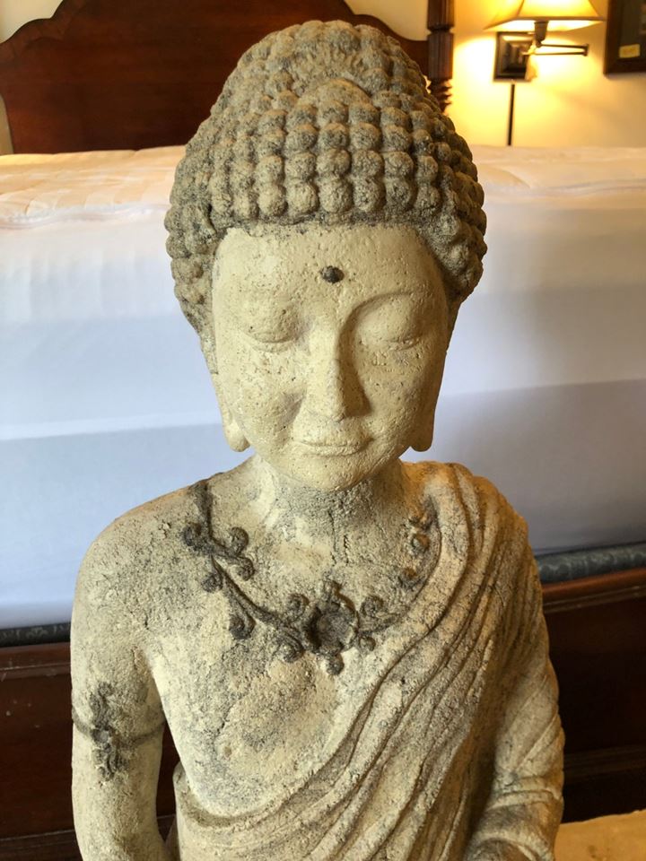 Zenful Living- 50% off at NOON