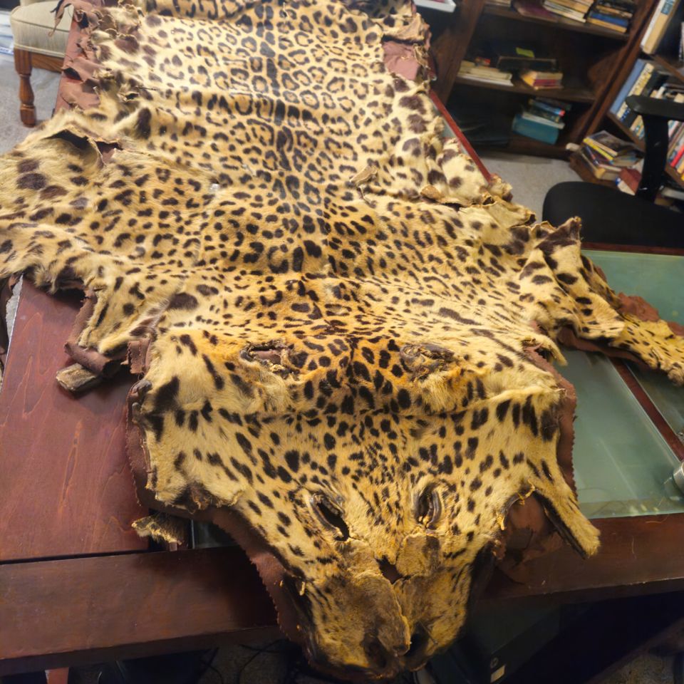 BUY ONLINE!  Cheetah skin, glass top desk, stereo equipment, purple mattress, sage leather loveseat 