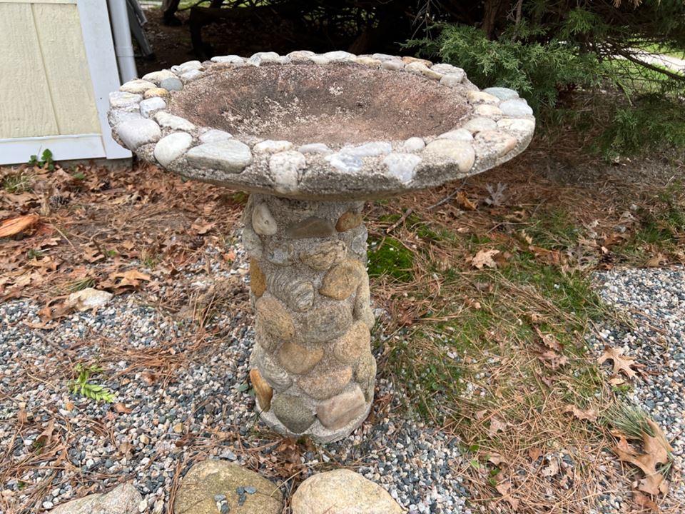 Scraggy Neck Online Auction