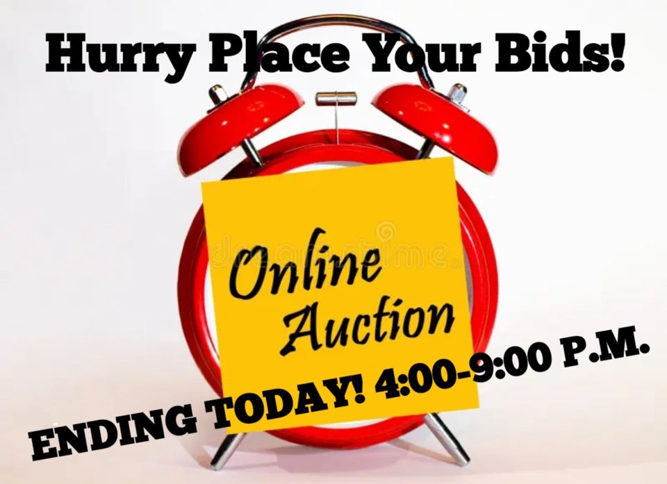 ENDING TODAY ONLINE ESTATE AUCTION 4:00-9:00 P.M. BEAUTIFUL HOME CHOICE CONTENTS! 