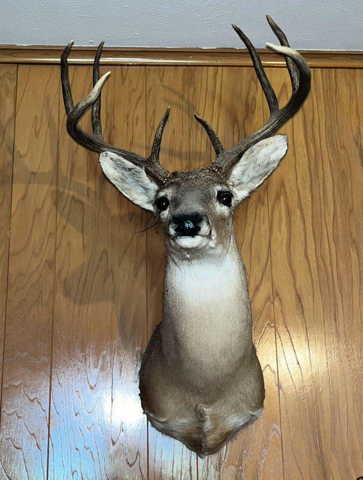 Are You Missing Eras of Mid-Century and/or the 70s and 80s?